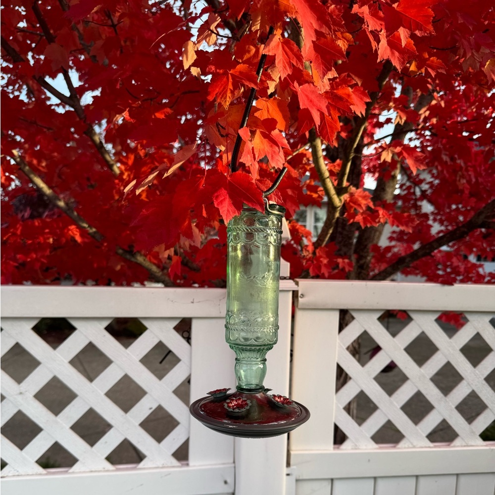 Glass Hummingbird Feeder - Picture 5 of 5
